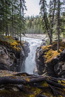Anybody else chasing waterfalls this summer Siffleur Falls AB Canada 
