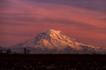 Closing out October with Mt Rainier 