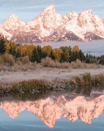 OC- Who else is dreaming of summer in Grand Teton Wyoming 