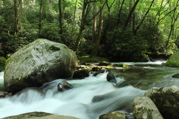  Big Creek Trail - Great Smoky Mountains National Park