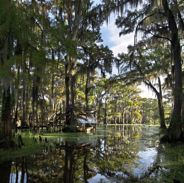  Boat Landing in Swamp - Uncertain Texas 