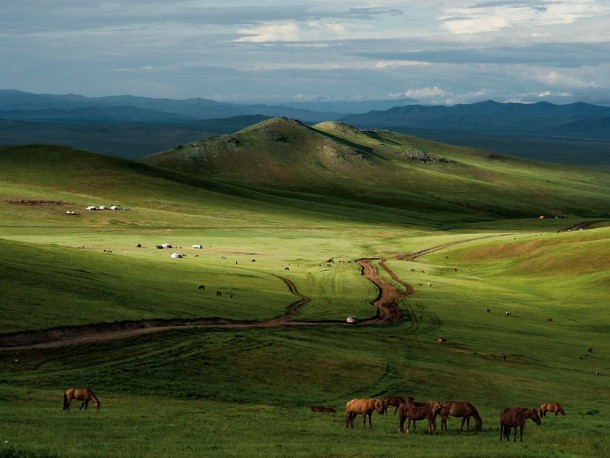  Horses Mongolian Steppe Photograph by Mark Leong