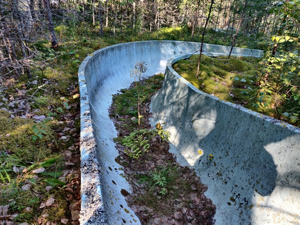  Plants growing out of a slide in an abandoned waterpark Finland