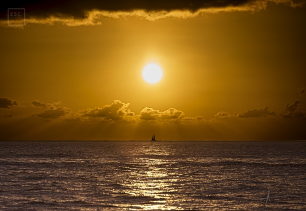  Sailing Under The Sun - Perfectly Timed Shot in Hawaii - 