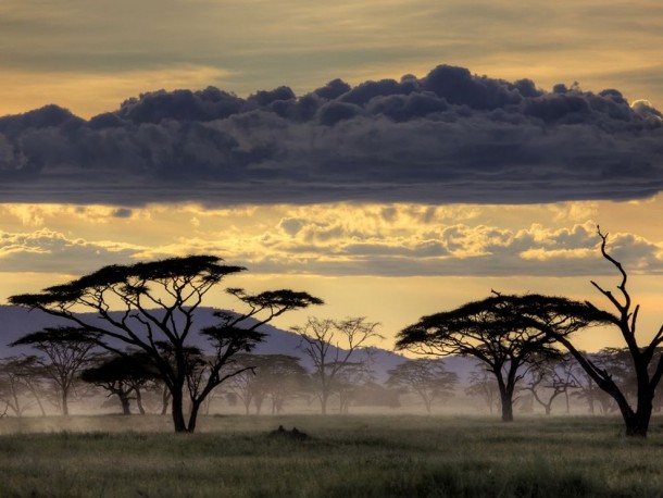  Serengeti Tanzania Africa Amnon Eichelberg on