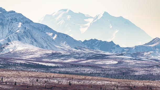  stunning Denali rises up in Denali NP Only  of visitors get to see it we feel lucky x