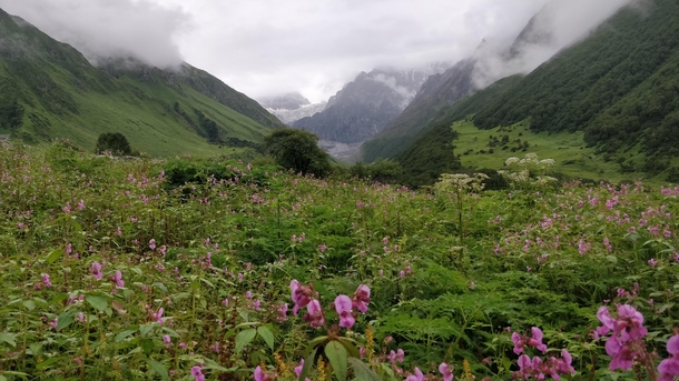  Valley of Flowers India A UNESCO Biosphere Reserve