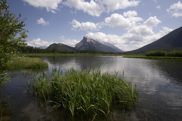  Wish I was sitting on the shore of Vermillion Lakes Banff feeling that lake breeze on my face instead of home right now But what can ya do __ longwalksandacamera