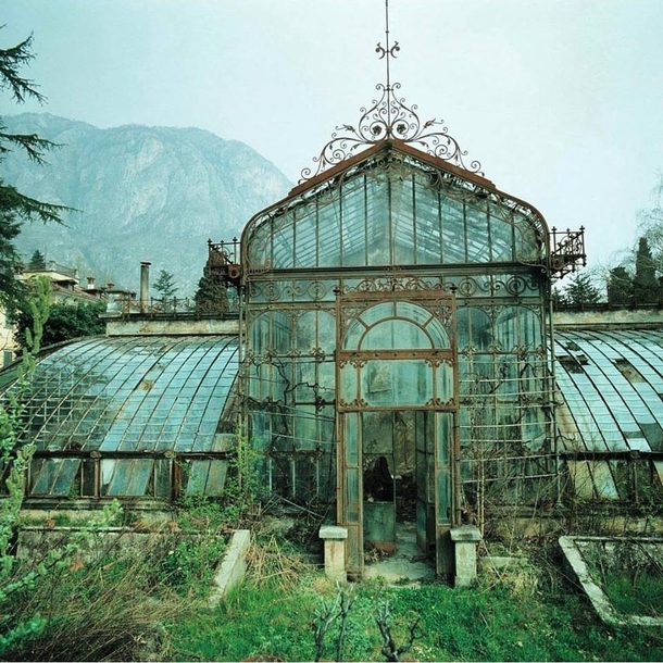 A beautiful abandoned greenhouse   