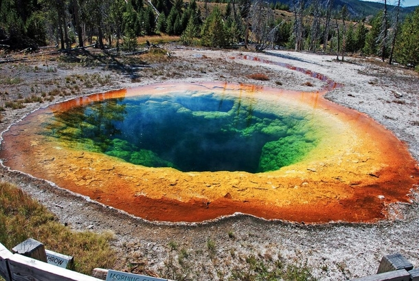 A beautiful pool in Yellowstone National Park 