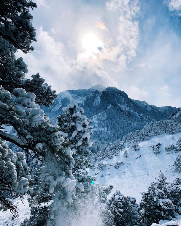A beautiful snowy stroll in Boulder CO 