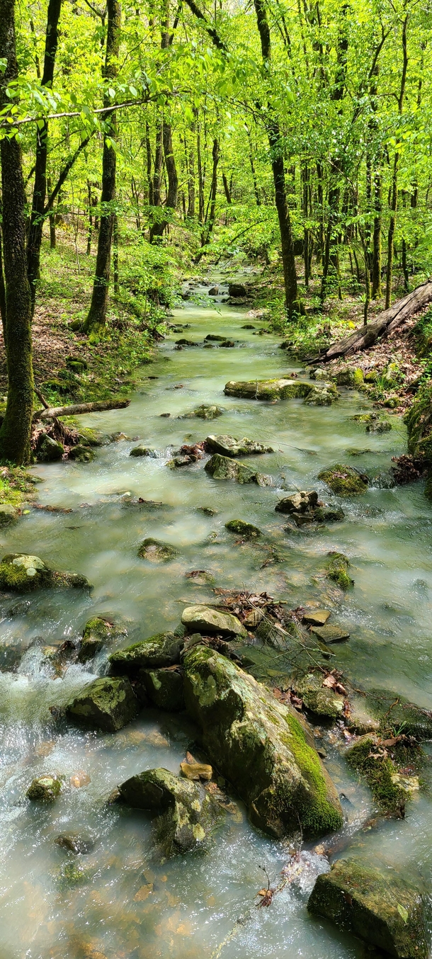 A beautiful stream found in a small Arkansas State Park OC Cossatot river in Arkansas 