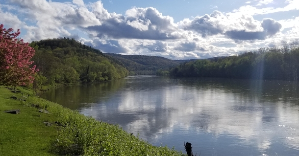 A Beautiful Sunny Day on the Chemung River in Elmira NY OC 