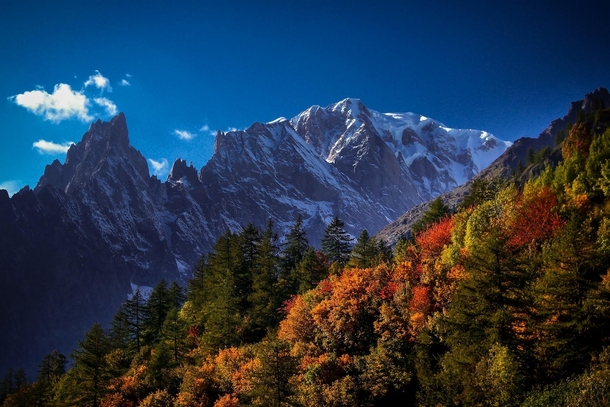 A blush of Autumn Mont Blanc France 