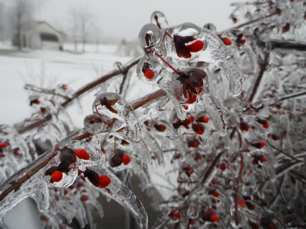 A Canadian ice storm last winter 