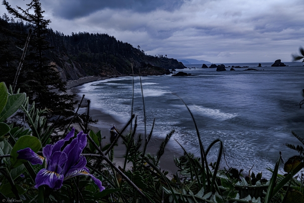 A cloudy day that turned golden hour into extended blue hour Oregon Coast OC 
