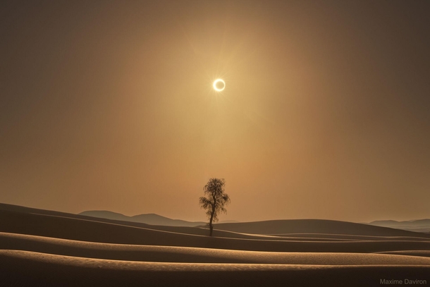 A Desert Eclipse