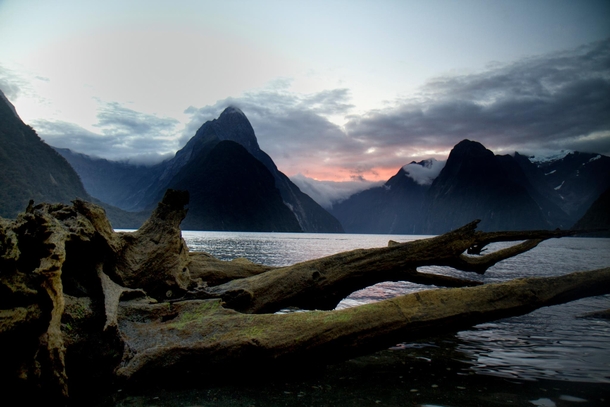 A different stick in the same mud Milford Sound Sunset 
