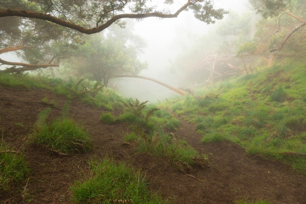 A disc golf course up in the clouds of Maui 