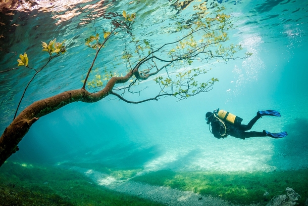 A Diver in Green Lake Grner See Austria 