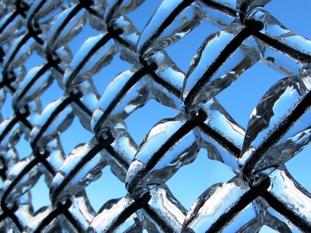A frozen chain-link fence 
