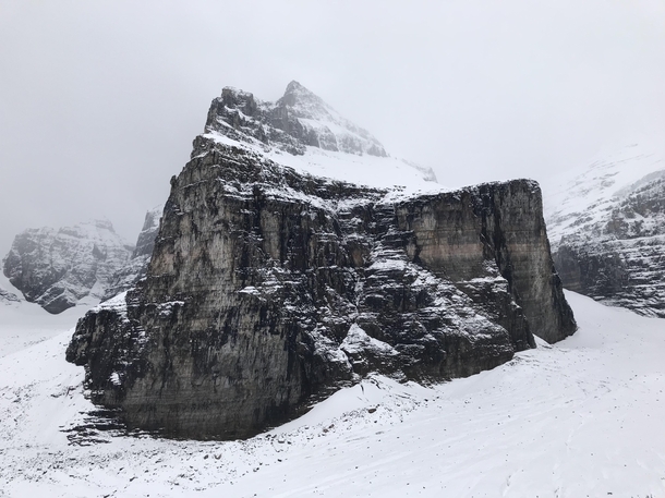 A giant emerges Plain of Six Glaciers Banff 