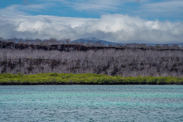 A gorgeous afternoon in the Galapagos 