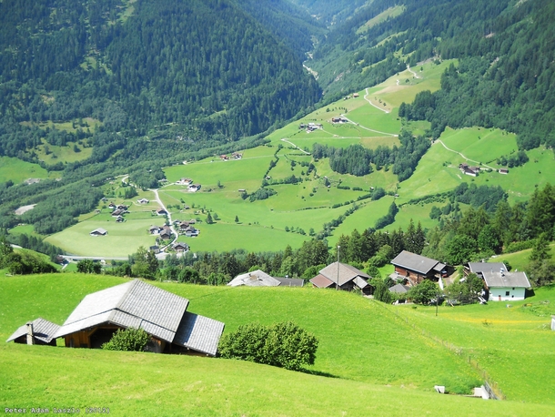 A green valley with houses somewhere in Austria 