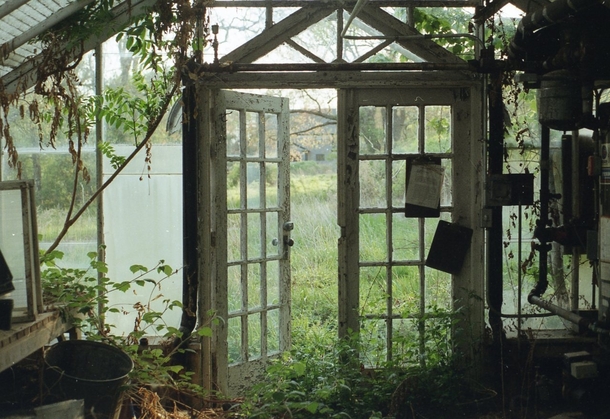A greenhouse slowly being absorbed by nature 
