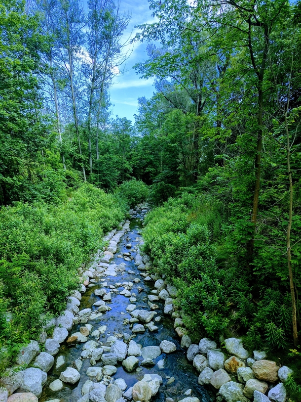 A humble creek in midtown Toronto Canada x