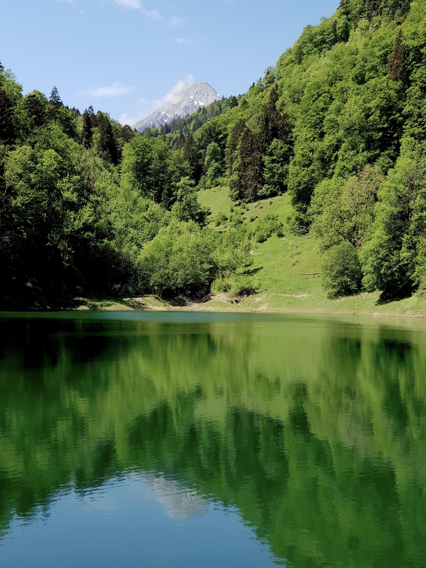 A lake in a forest Switzerland Kanton Schwyz  OC