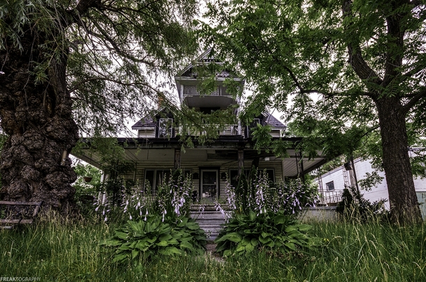 A large abandoned house and one ugly-ass tree in Ontario Canada OC 