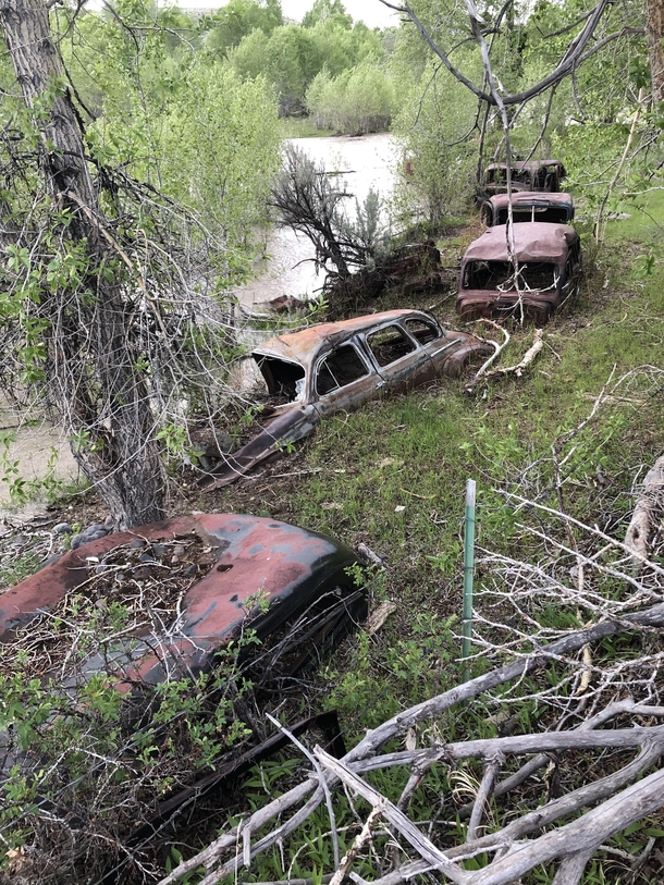 A line of abandoned old cars in the process of being overtaken by the deposition of sediment by the neighboring river in central Wyoming