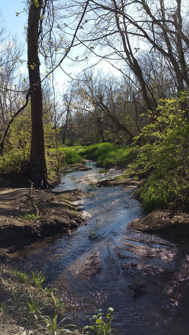 A little stream running into Burnetts Creek in Tippecanoe County IN 