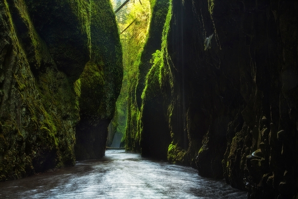 A lush canyon in Columbia River Gorge OR 