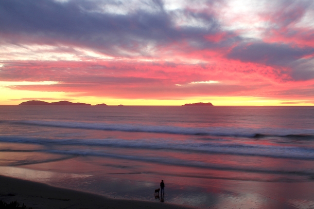 A man and his dog admire the sun setting behind Islas Coronado Sur OC - Tijuana - 