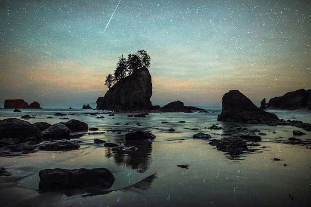A meteor above Second Beach Washington  By Craig Goodwin