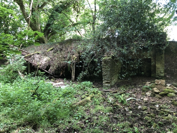 A milking shed in Somerset UK Left to nature after decades of use in the th and th century and has been left like this since the early s