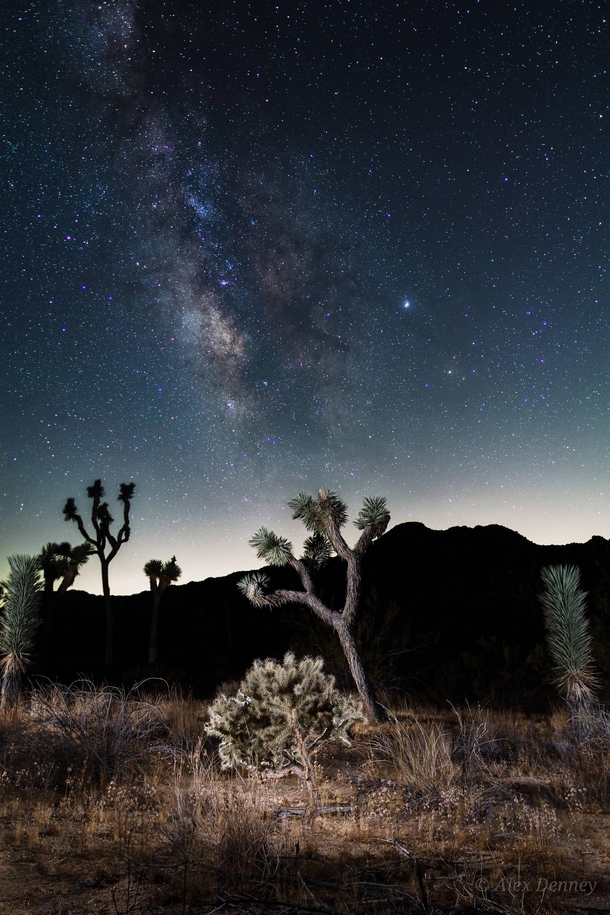 A Milky way composite I took in Joshua Tree this past summer 
