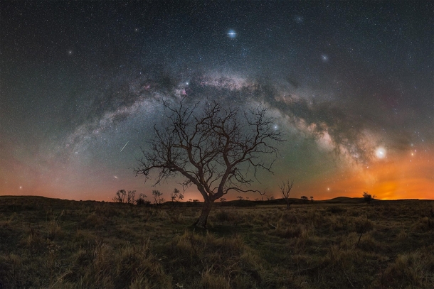 A milky way panorama over some trees in Saskatchewan 