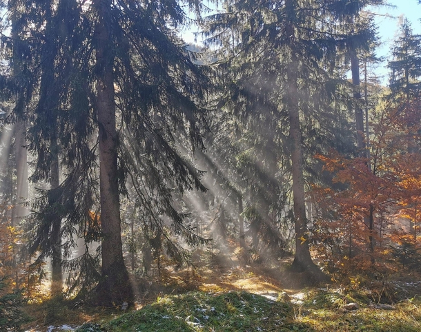 A misty autumn morning in the Austrian Alps 