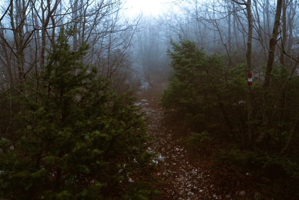 A misty trail to mountain Snjeznica Dubrovnik 