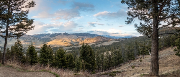 A panorama in YellowStone on the way to Lamar valley at sunset 