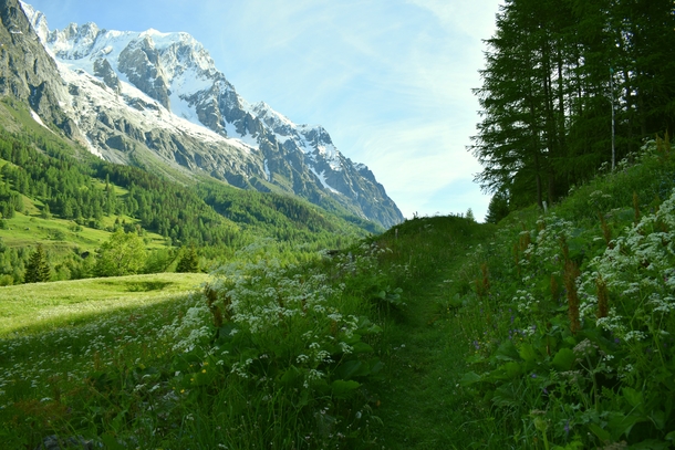 A path through the meadows of the Val Ferret Italy 