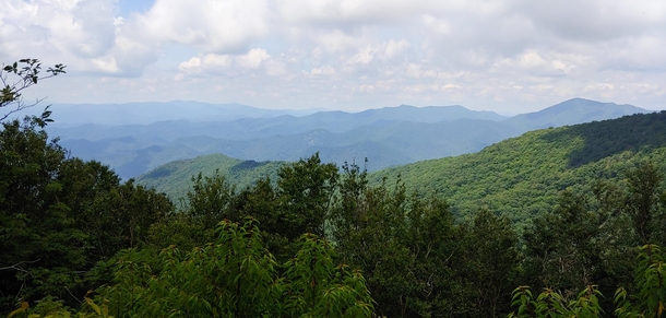 A picture I snapped just below the summit of Craggy Garden NC 