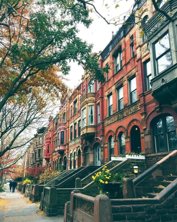 A picturesque street in Brooklyn