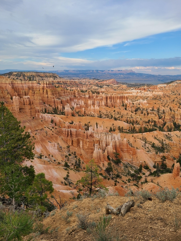 A place youve seen a thousand times but never gets old Bryce Canyon UT 