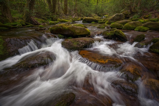 A Refreshing Stream in the Great Smoky Mountains in Tennessee 
