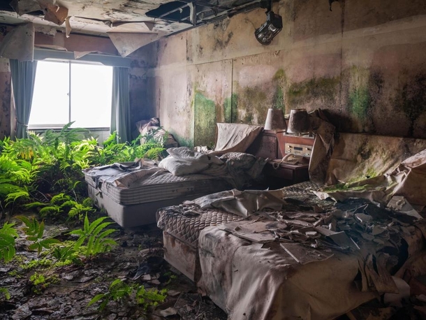 A room taken over by nature inside the abandoned Hachijo Royal Resort Japan