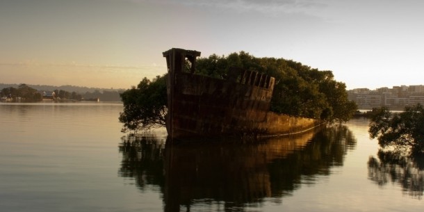 A rotten and overgrown ship - Homebush Bay Australia 